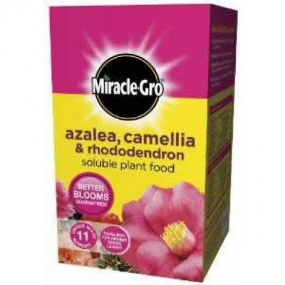 MIRACLE-GRO ERICACEOUS 1KG