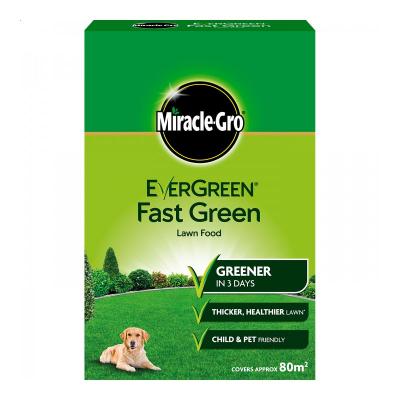 Evergreen Lawn Food