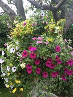 Wansbeck Extra Large Hanging Basket